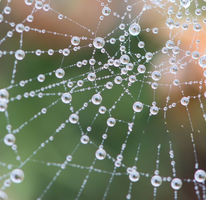 An image of a spiders web with dew points in it