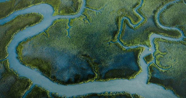 This image shows a river.