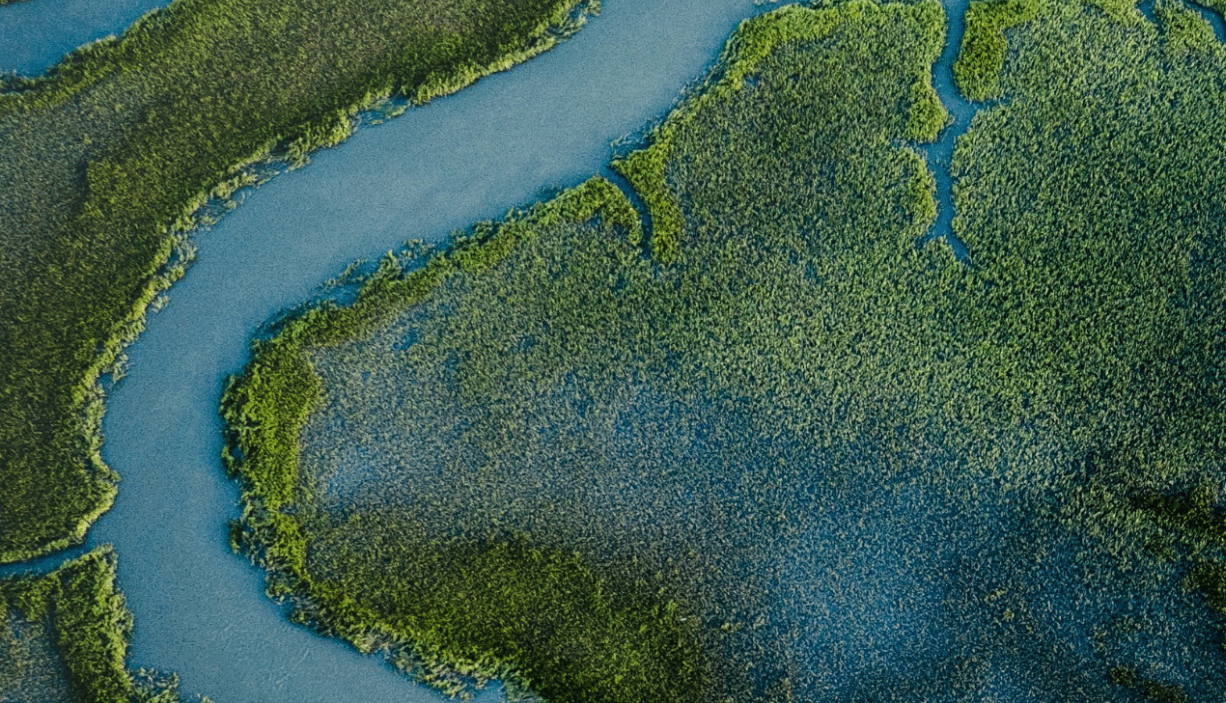 Aerial view of a river.