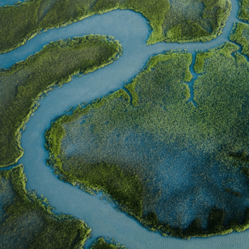 Aerial view of a river.