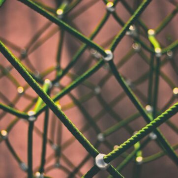 This image shows green netting