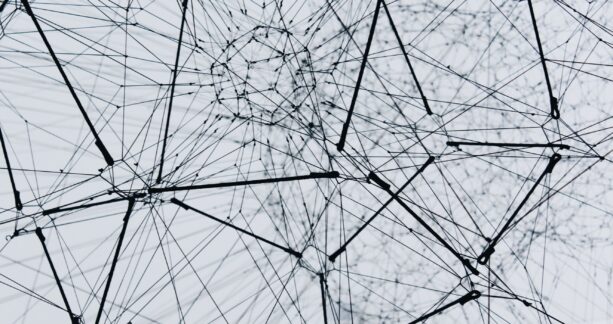 This image shows a network